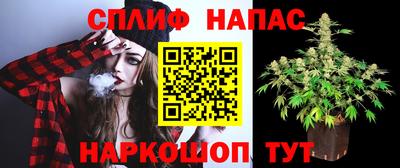 ГАЛЛЮЦИНОГЕННЫЕ ГРИБЫ Тулун